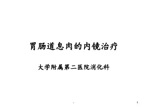 胃肠道息肉护理PPT课件