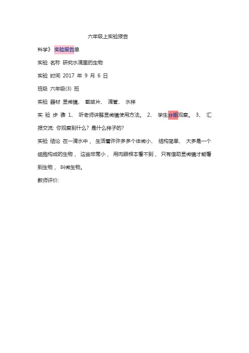 六年级上实验报告
