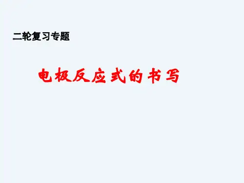 电极反应式