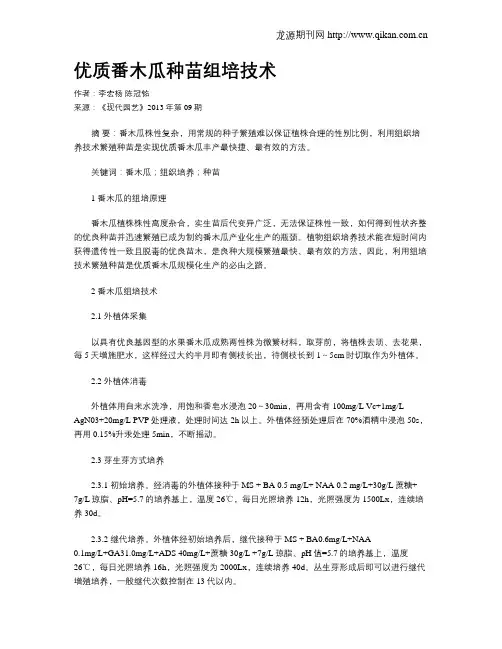 优质番木瓜种苗组培技术
