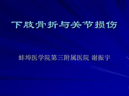下肢骨关节损伤