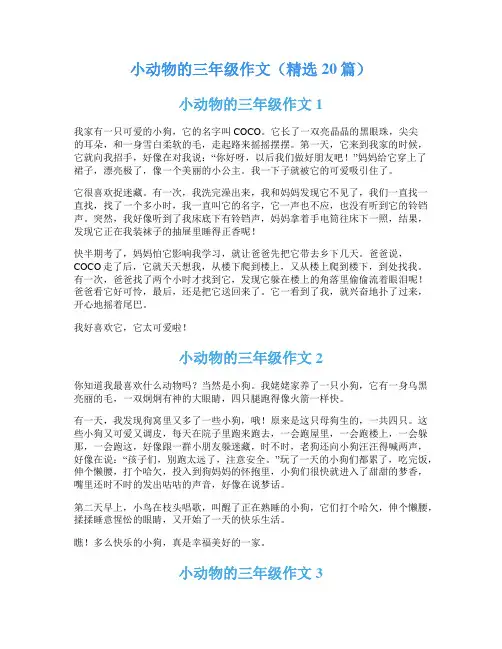 小动物的三年级作文(精选20篇)