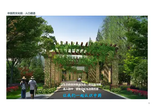 中医药文化园概念策划设计(原创精品)