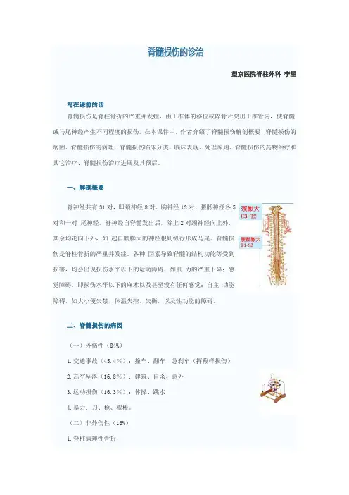 脊髓损伤的诊治