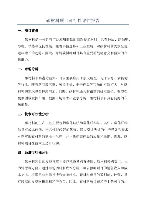 碳材料项目可行性评估报告