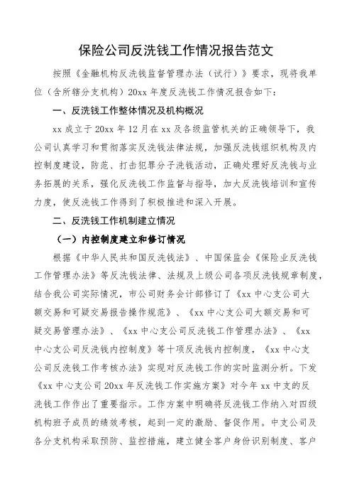 保险公司反洗钱工作报告汇报总结集团企业