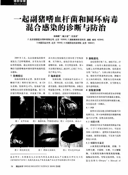 一起副猪嗜血杆菌和圆环病毒混合感染的诊断与防治