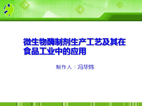 微生物酶制剂生产工艺及在食品工业中的应用.pptx