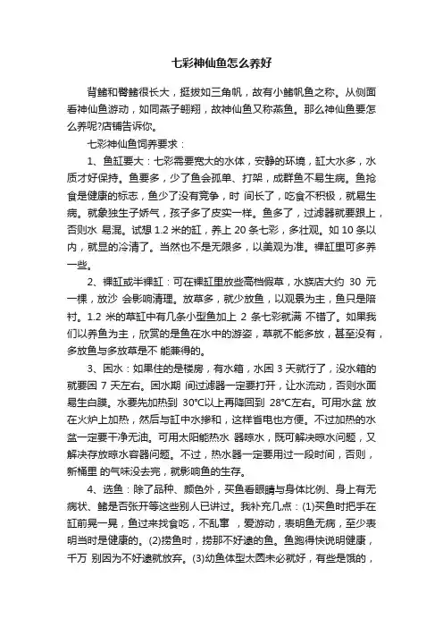七彩神仙鱼怎么养好