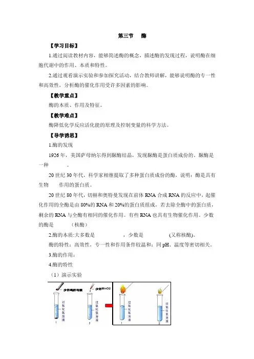 浙科版高中生物必修一《酶》导学案-新版