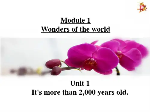 外研版九年级英语上课件 Module 1 Unit 1