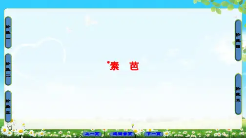 外国小说欣赏-08素 芭PPT39张
