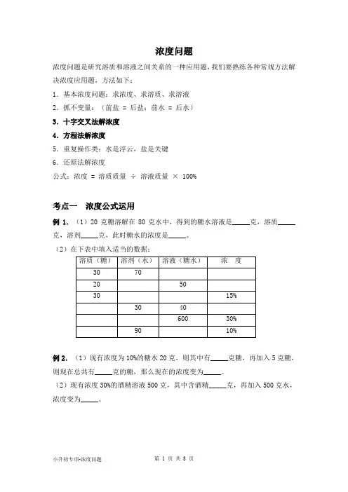 六年级下册数学试题小升初专项浓度问题人教新课标