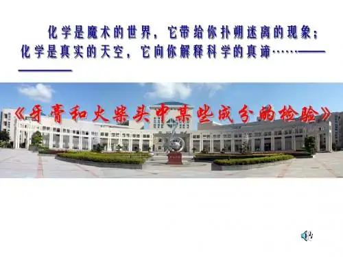 化学课件《牙膏和火柴头中某些成分的检验》优秀ppt2 苏教版