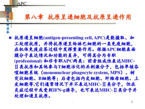 抗原递呈细胞与抗原的处理及递呈PPT课件
