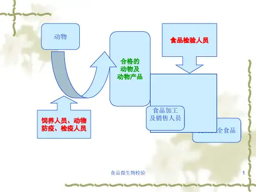 食品微生物检验课件