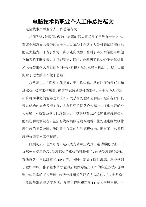 电脑技术员职业个人工作总结范文