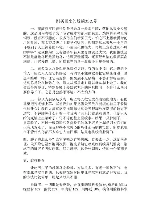 刚买回来的靛颏怎么养