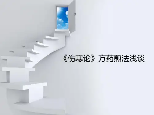 中药煎煮法