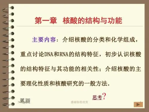 核酸的结构与功能.pptx
