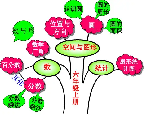 六年级上册数学知识树-(1)