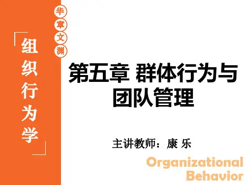 组织行为学第五章群体行为与团队管理