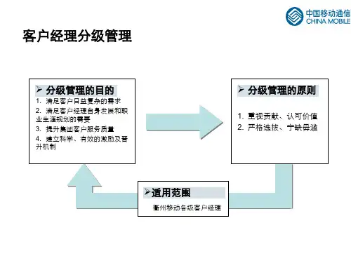 客户经理分级管理