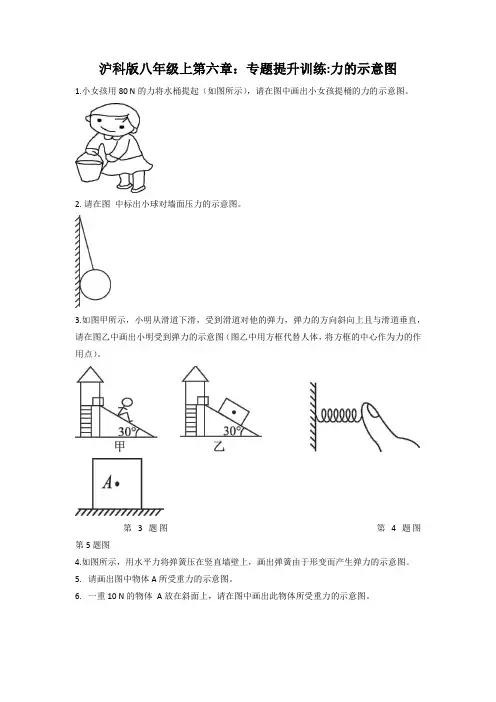 第六章熟悉而陌生的力专题提升训练力的示意图2022-2023学年沪科版物理八年级上册