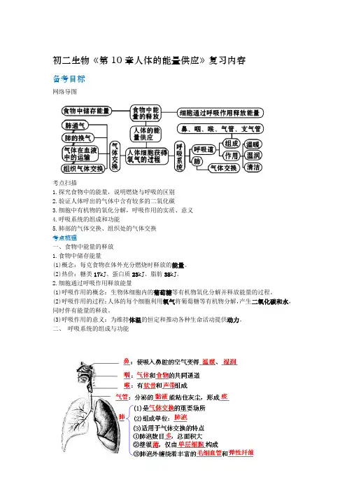 初二生物《第10章人体的能量供应》复习内容