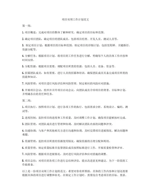 项目双周工作计划范文