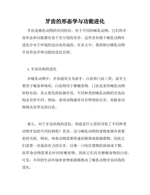 牙齿的形态学与功能进化