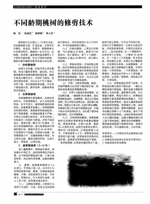 不同龄期桃树的修剪技术