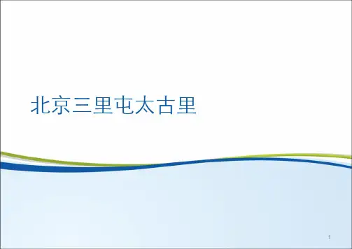 北京三里屯太古里项目考察报告