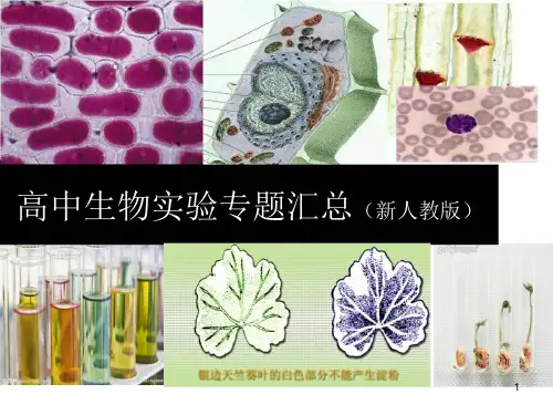 高中生物实验专题汇总课件
