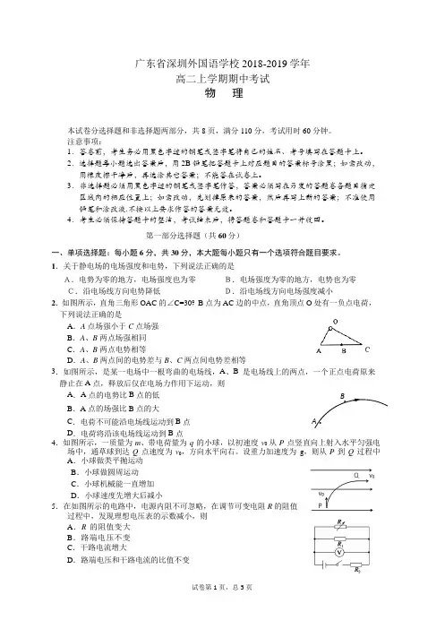 广东省深圳外国语学校2018-2019学年高二上学期期中考试 物理试题含答案