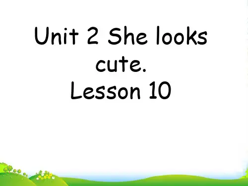 精通版五年级英语上册Unit 2 She looks cute. Lesson 10 课件2