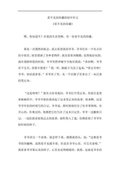 看不见的珍藏的初中作文