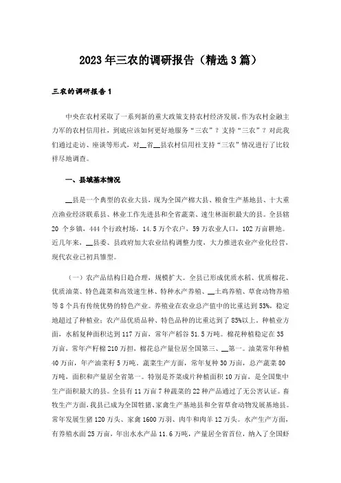 2023年三农的调研报告(精选3篇)