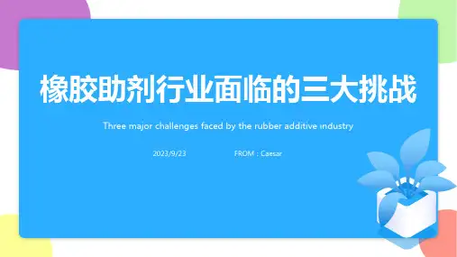 2023年橡胶助剂行业主要面临两大挑战报告模板