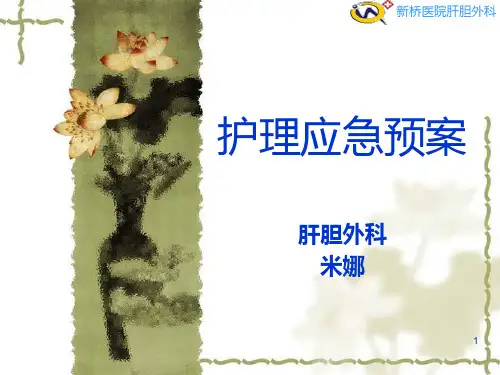 《护理应急预案》精选PPT幻灯片