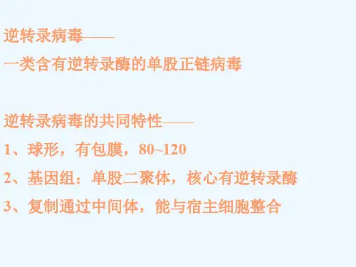 逆转录病毒