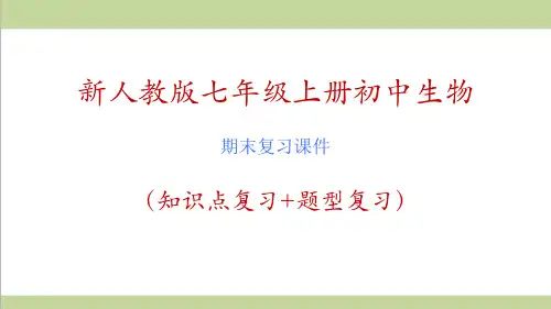 新人教版七年级上册生物期末重点复习全套课件