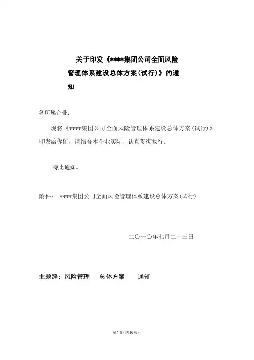 某某集团公司全面风险管理总体方案
