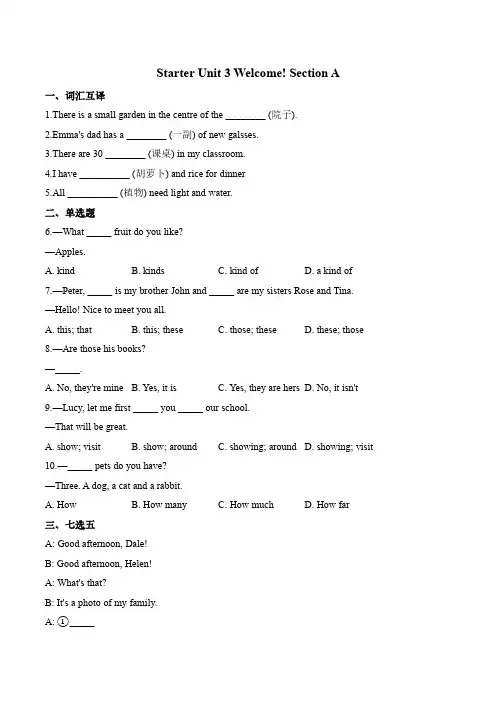 英语人教版(2024版)课时练习 含答案七年级上册Starter Unit 3  Section A