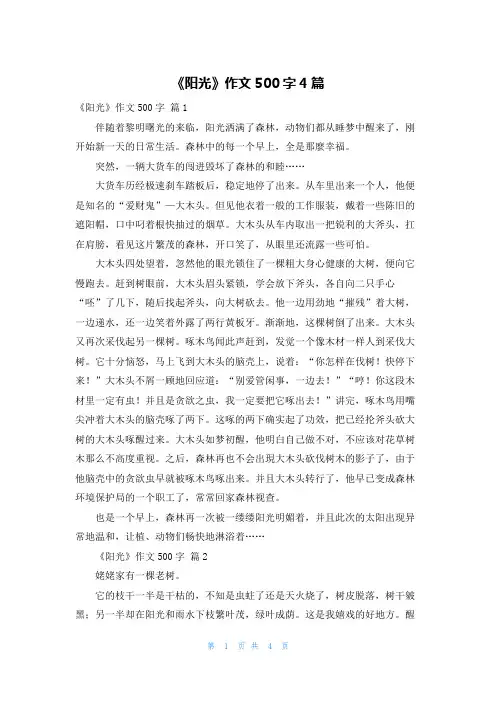 《阳光》作文500字4篇
