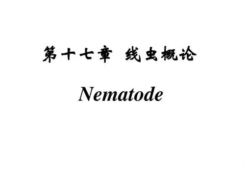 寄生虫2.线虫概述、蛔虫、鞭虫