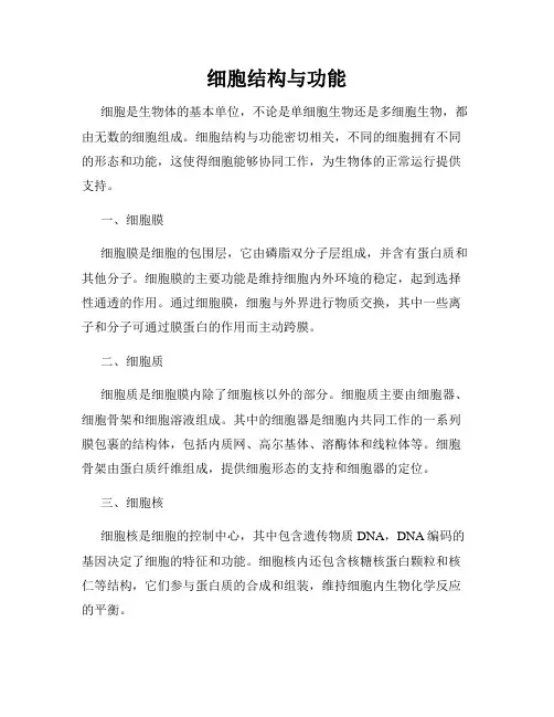 细胞结构与功能