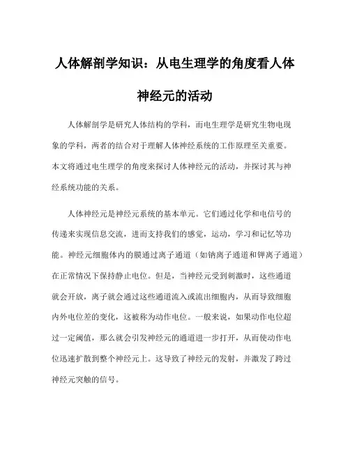 人体解剖学知识：从电生理学的角度看人体神经元的活动