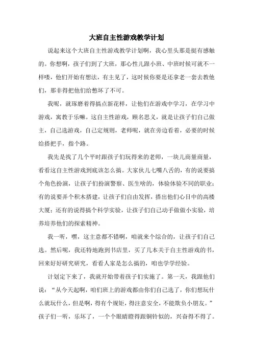 大班自主性游戏教学计划