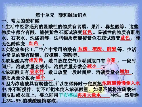化学九下第十单元《酸和碱》复习